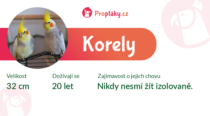 Korely_medailonek